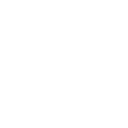 Daedalus